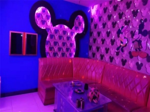 石家庄夜场招聘,石家庄酒水促销招聘卓越展新篇